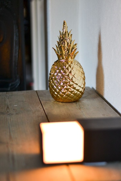 9913c9d02fc208a3e7bf0e5e111f458b--gold-pineapple-spotlight