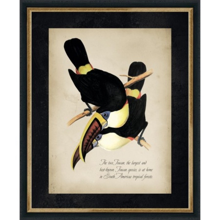 3692-624BLG-700x700
