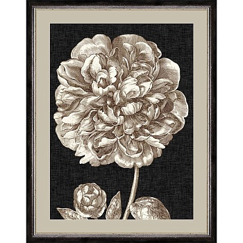 RS3863PP178-10A95BL1-700x700