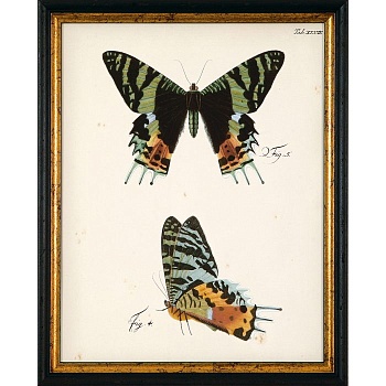 RS3453-624BLG-1-700x700