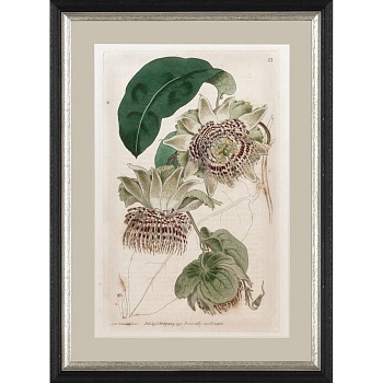 RS3962PP178-624BLS-2-700x700