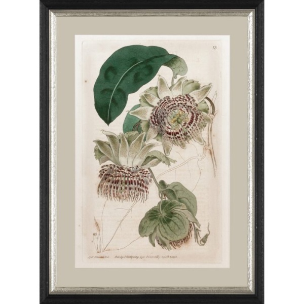 RS3962PP178-624BLS-2-700x700