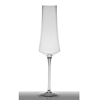 WhatsApp Image 2020-04-07 at 23.40.30