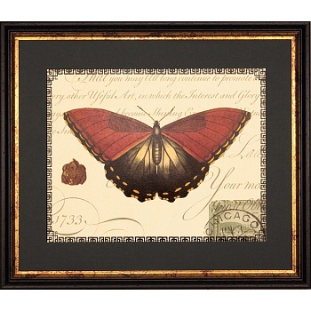 RS3521PPBL-624BLG-2-700x700