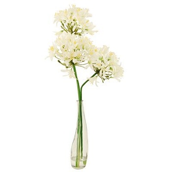 50c7f7e19677307cd492ac3eac5844af