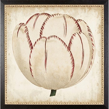 RS3851-13A8BL-2-700x700