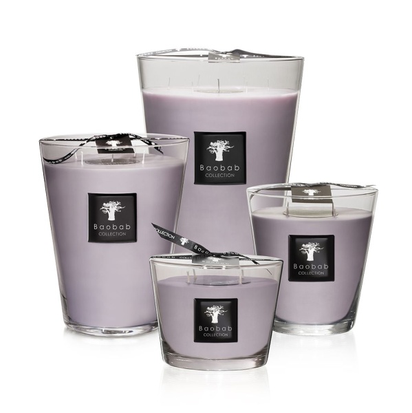 all-seasons-white-rhino