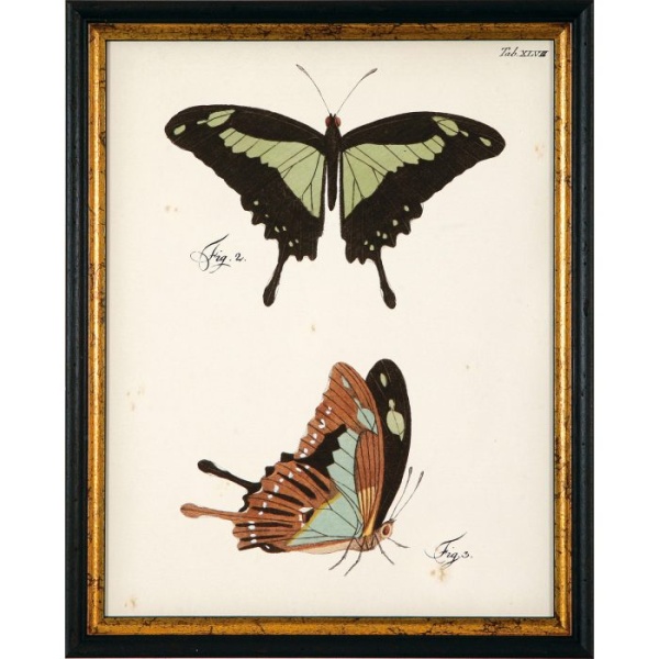 RS3453-624BLG-2-700x700