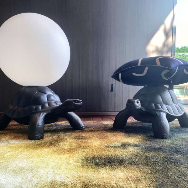 Без названия (6)