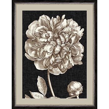 RS3863PP178-10A95BL2-700x700