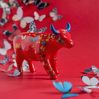 dsc_5220kopija-900x900