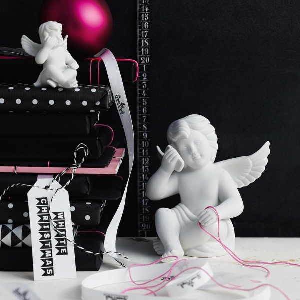 14561955_1690566477922634_2224610067951386624_n