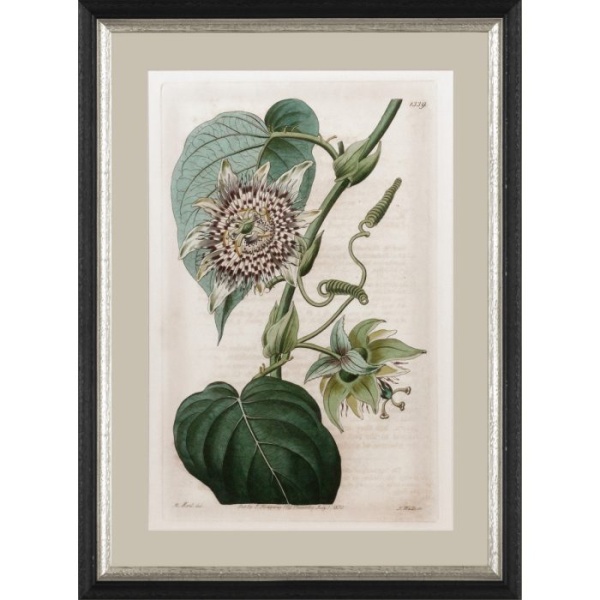 RS3962PP178-624BLS-1-700x700