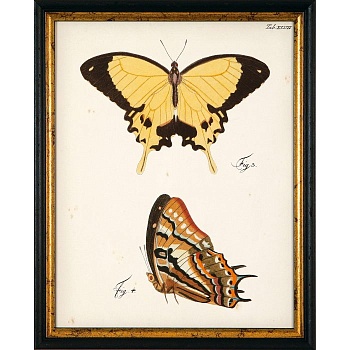 RS3453-624BLG-4-700x700