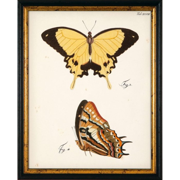 RS3453-624BLG-4-700x700