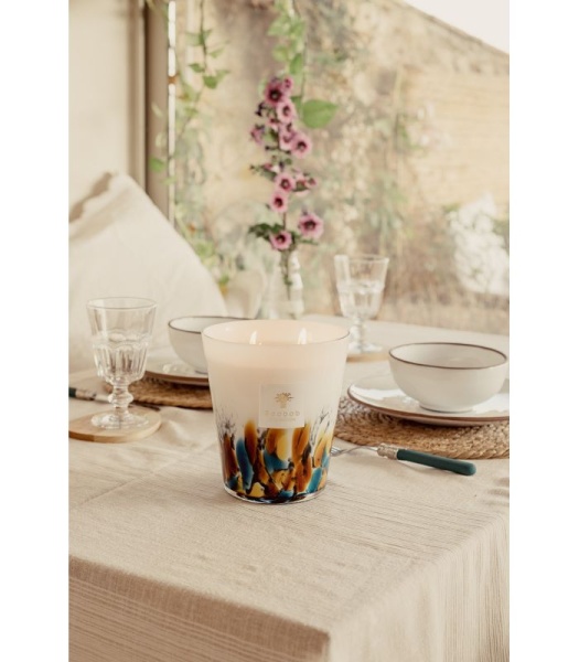 rainforest-mayumbe (1)