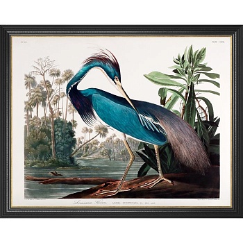 RP7625D-3504BLG-700x700