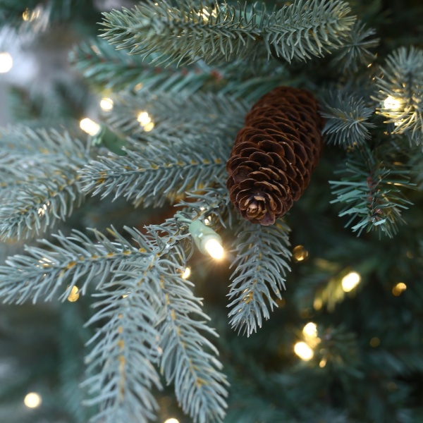 ZERMATT FROST2 ZERMATT FROST2