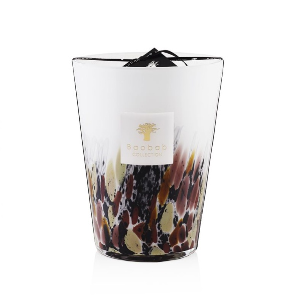 rainforest-tanjung (3)