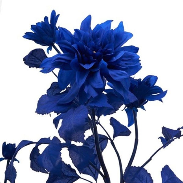 60540244cc618e4b7b199b02056b3d29d5af6081