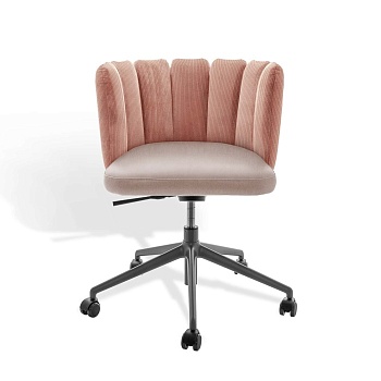 GAIA-chr-5-Stern-drehG-+Rollen-ma-pol-KFF-(0)