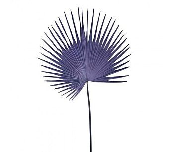 540-300-060_x600-630x552