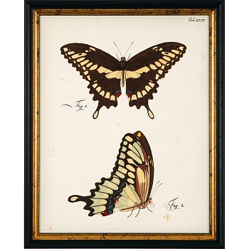 RS3453-624BLG-3-700x700