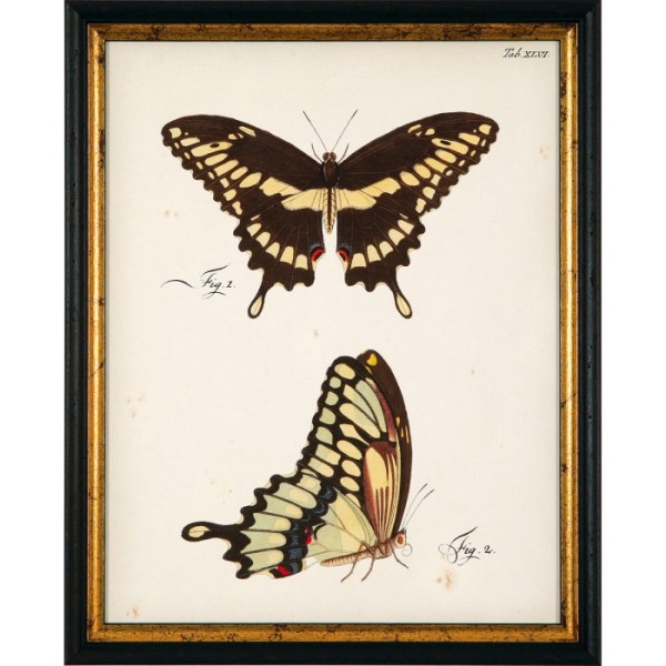 RS3453-624BLG-3-700x700