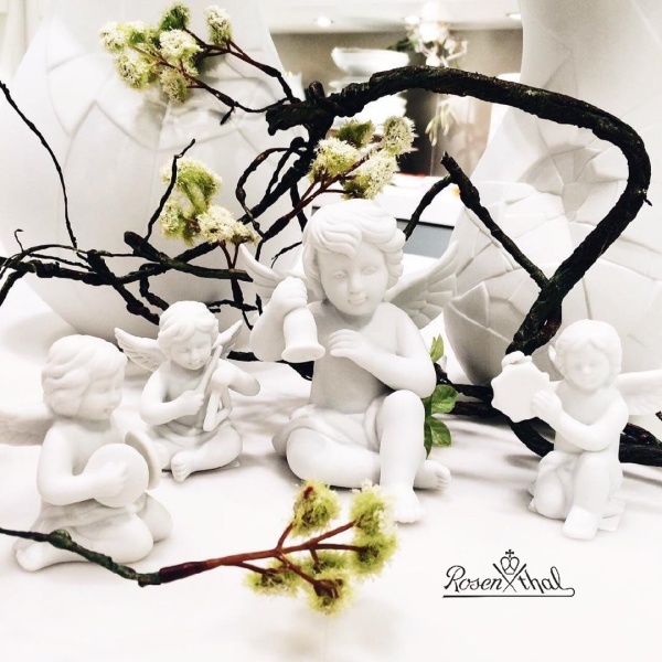 30922124_227354244485610_7923544921099730944_n