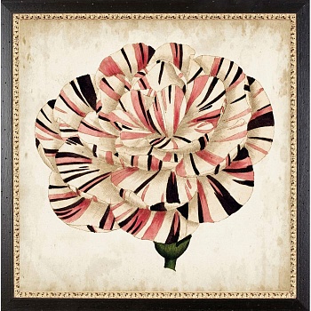 RS3851-13A8BL-1-700x700