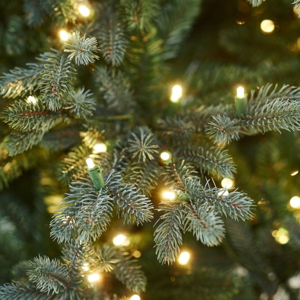 NORTHSTAR2 NORTHSTAR2