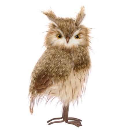 T 81097 BRWN 600x600