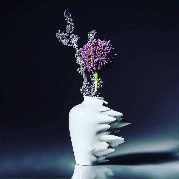 12224697_550523621763480_2003625191_n