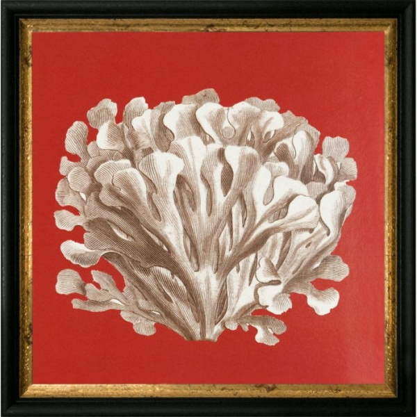 RS3477-624BLG-1-700x700