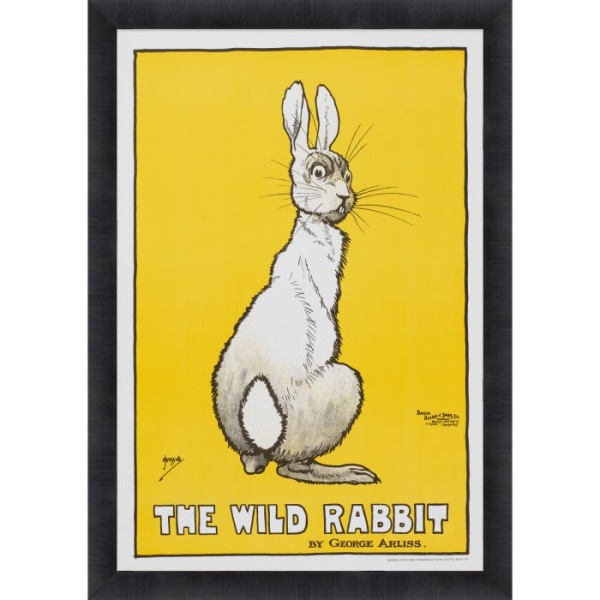 RP7876-169BL-1-700x700