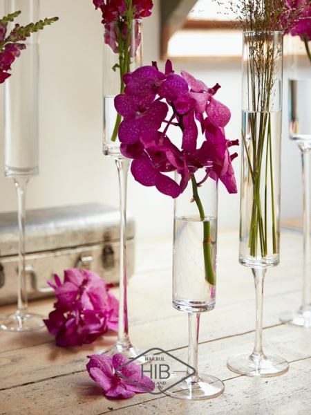 86f99db05932742b1391e3129a9bec04