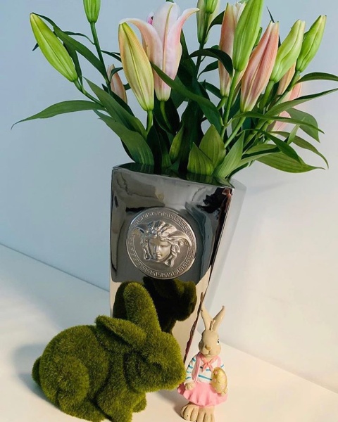 57597773_2286431264955274_430899207160995096_n