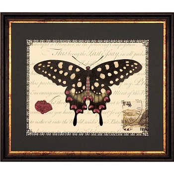 RS3521PPBL-624BLG-1-700x700