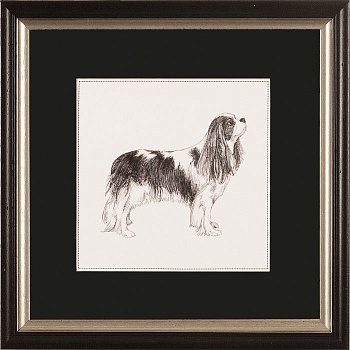 RS3661PPBL-624BLS-5-700x700