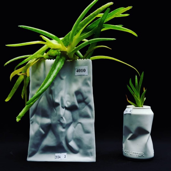 68869108_146841903187172_4593481875872214899_n