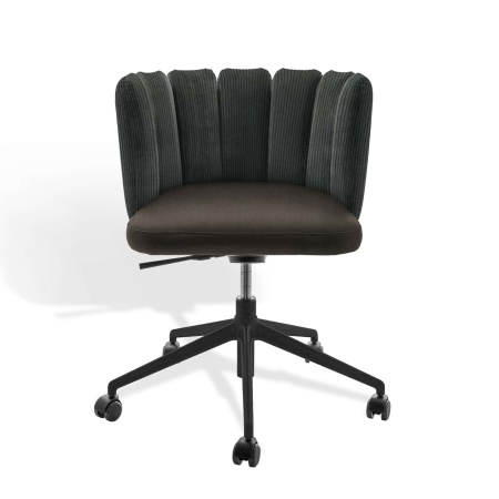 GAIA-chr-5-Stern-drehG-+Rollen-ma-pol-KFF-(1)