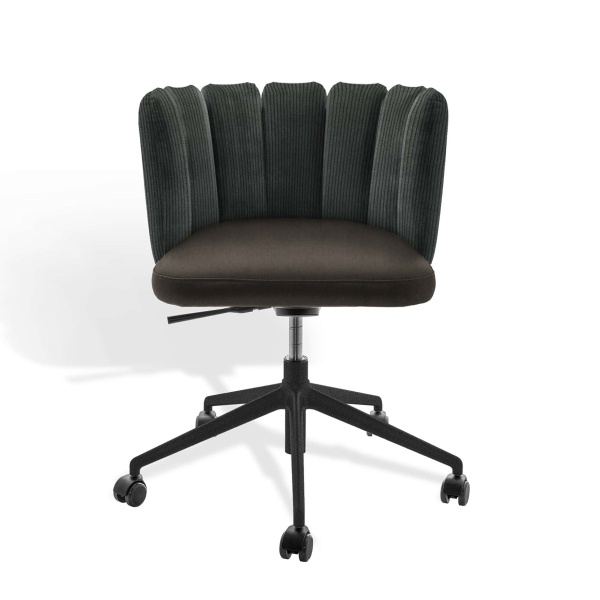 GAIA-chr-5-Stern-drehG-+Rollen-ma-pol-KFF-(1)