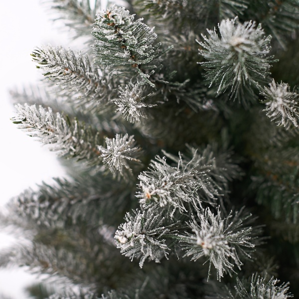 VISP SNOWY2 VISP SNOWY2