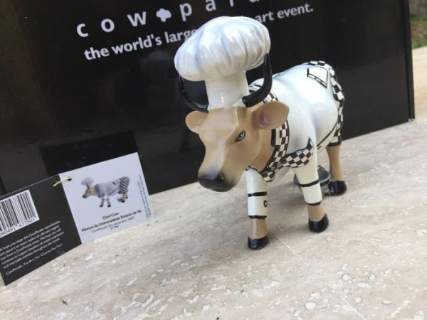 c23b5603-a68e-4b55-bbe4-8531240cb72c