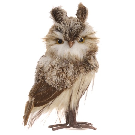 T 80036 BRWN 600x600