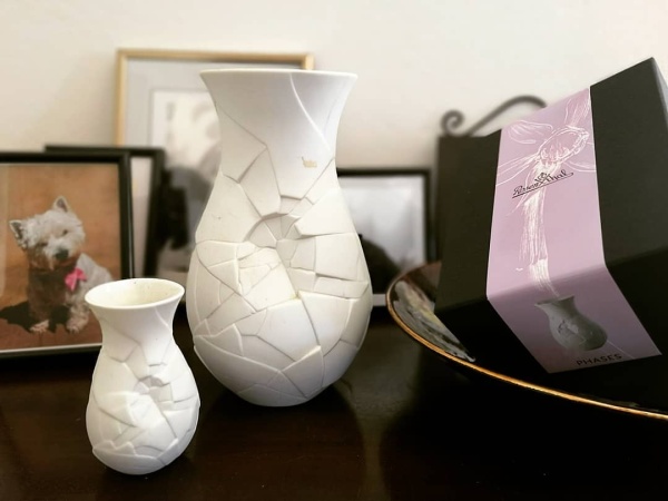 61998104_181165159541269_1485415005443918880_n