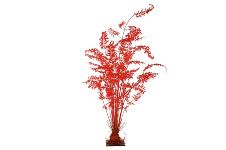 Krasnyj-kust-na-podstavke-768x512